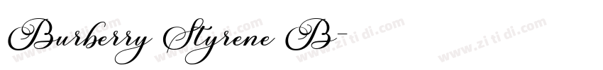 Burberry Styrene B字体转换